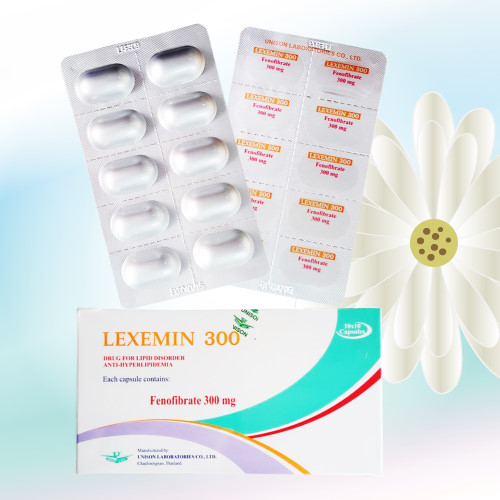 Lexemin (フェノフィブラート) 300mg 100カプセル (1箱)