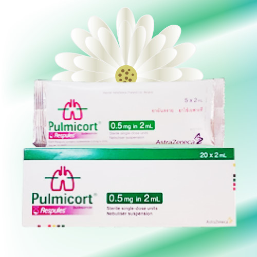 パルミコート吸入液 (Pulmicort Respules) 0.5mg/2mL 20アンプル