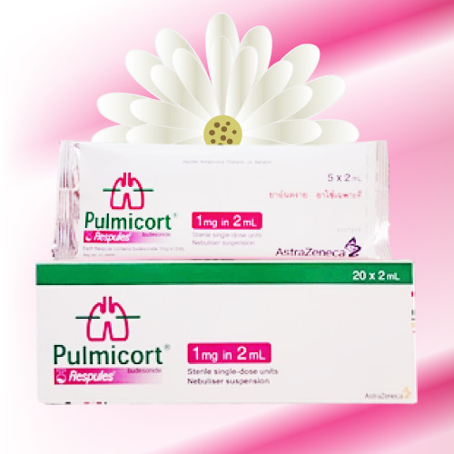 パルミコート吸入液 (Pulmicort Respules) 1mg/2mL 20アンプル