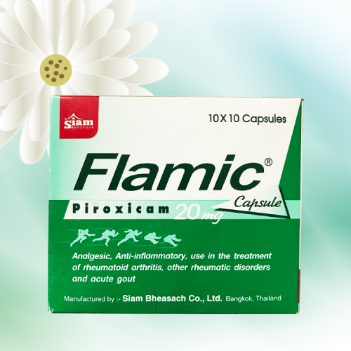 Flamic (ピロキシカムカプセル) 20mg 100カプセル (10シート)