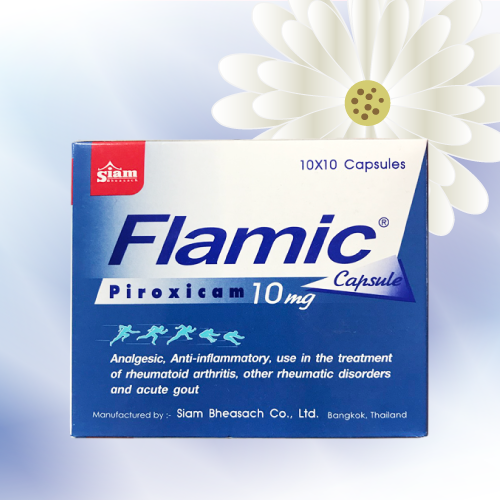 Flamic (ピロキシカムカプセル) 10mg 50カプセル (5シート)