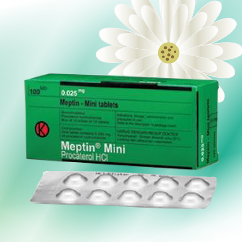 メプチンミニ (Meptin) 25μg 200錠 (100錠x2箱)
