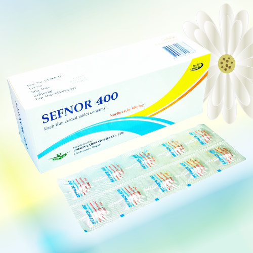 Sefnor (ノルフロキサシン) 400mg 200錠 (10錠x20シート)