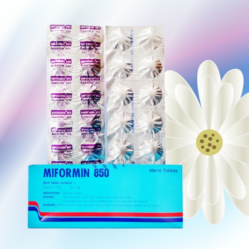 Miformin (メトホルミン) 850mg 100錠 (10錠x10シート)