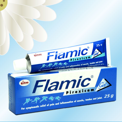 フラミクジェル / ピロキシカムジェル (Flamic Gel) 0.5% 25g 1本