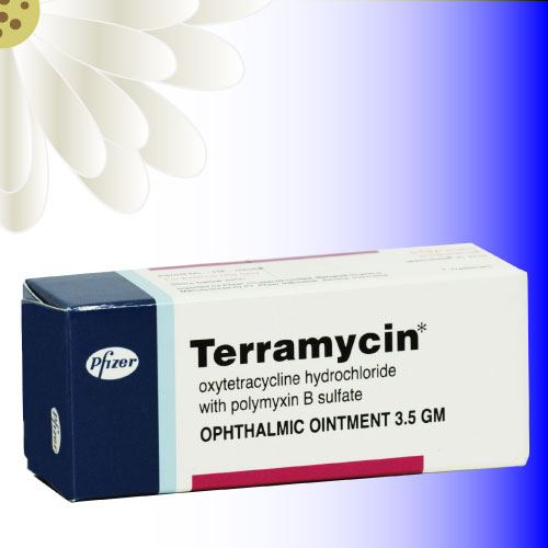 テラマイシン眼軟膏 (Terramycin Ophthalmic Ointment) 3.5g 12本