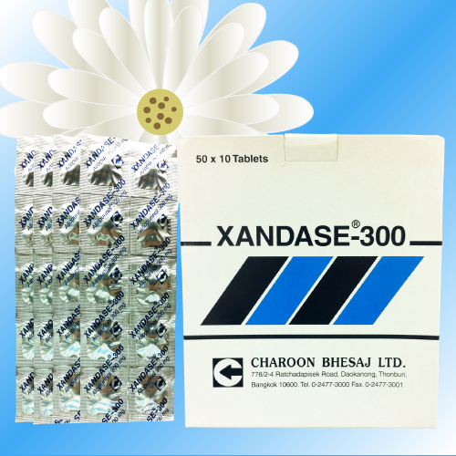 Xandase (アロプリノール) 300mg 200錠 (10錠x20シート)