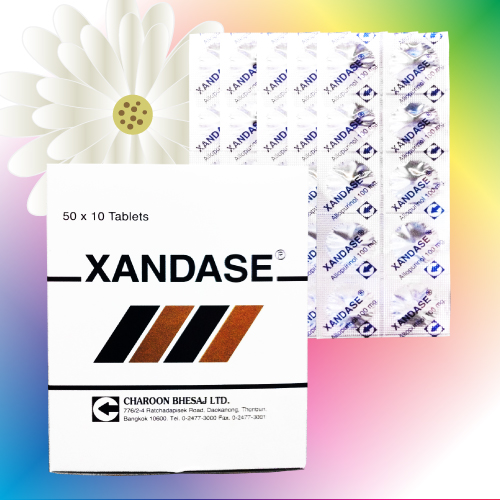 Xandase (アロプリノール) 100mg 200錠 (10錠x20シート)