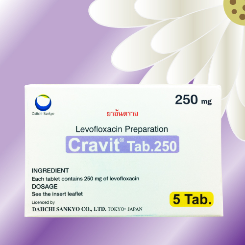クラビット (Cravit) 250mg 10錠 (5錠x2シート)