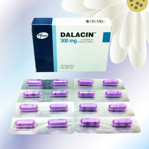 ダラシンカプセル (Dalacin) 300mg 60カプセル (3箱)