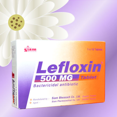 レフロキシン / レボフロキサシン (Lefloxin) 500mg 30錠 (10錠x3箱)