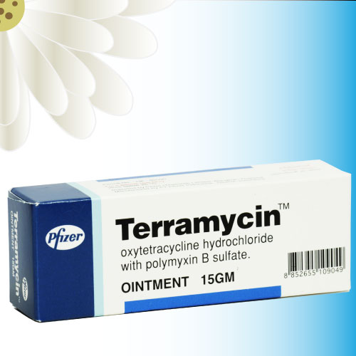 テラマイシン軟膏 (Terramycin Topical Ointment) 15g 3本