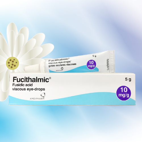 Fucithalmic (フシジン酸粘性点眼薬 5g) 6本